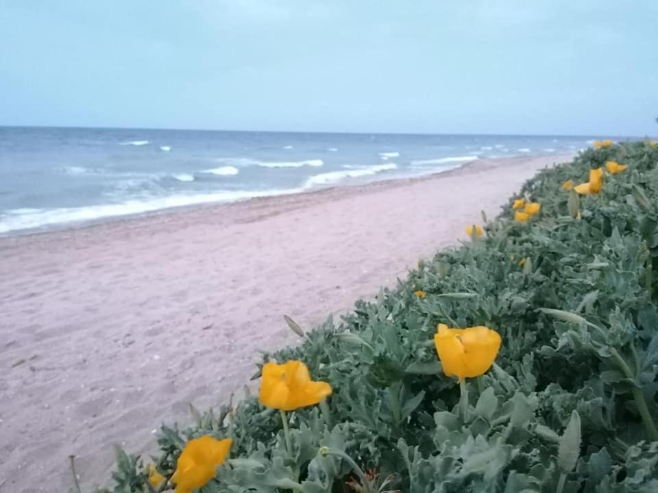 La Doi Pasi De Mare Hotel Vama Veche Exterior photo